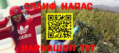 шишки Свободный