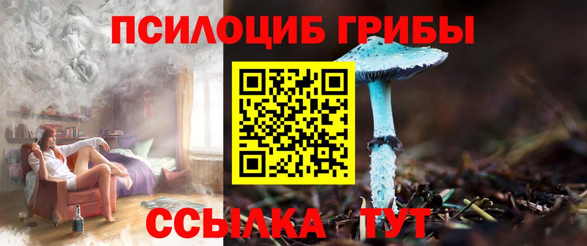 Псилоцибиновые грибы Magic Shrooms Нурлат