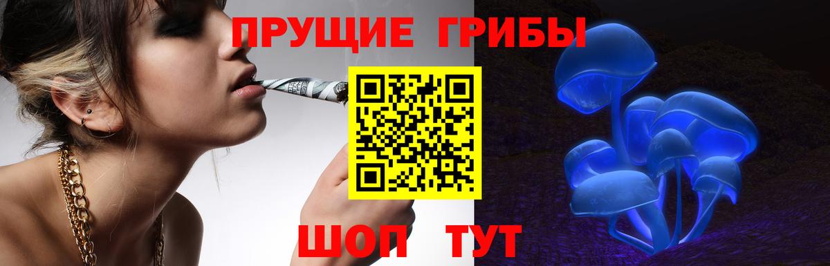 Псилоцибиновые грибы MAGIC MUSHROOMS  где можно купить   Нурлат  Вход с VPN  Псилоцибиновые грибы прущие грибы 